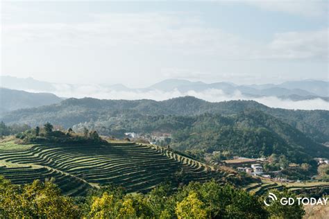 Meizhou Hakka Enclave, Geleneğe Doymuş Bir Yaşam Tarzı Deneyimi!