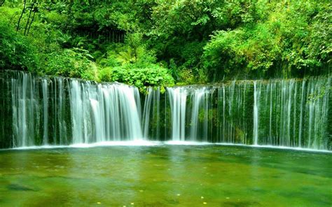  Qingmuchuan Parkı: Gizemli Şelaleleri ve Yeşil Vadi Görkemi Keşfedin!