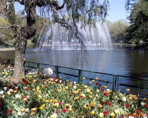  Tongziwan Parkı: Güzel Şelaleler ve Yeşil Tarih